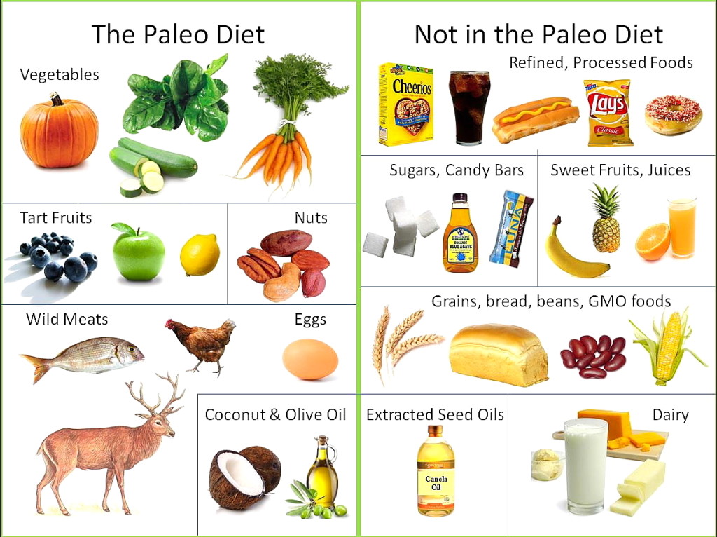 what is the paleo diet all about